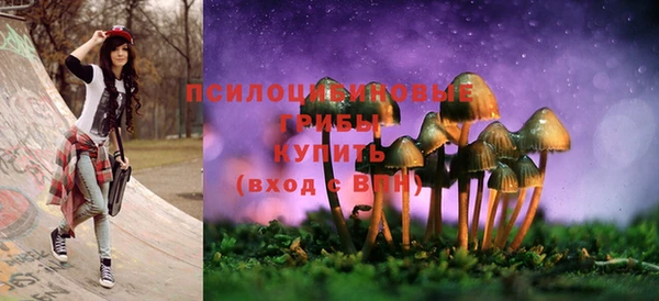PSILOCYBIN Бронницы