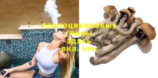 PSILOCYBIN Бронницы